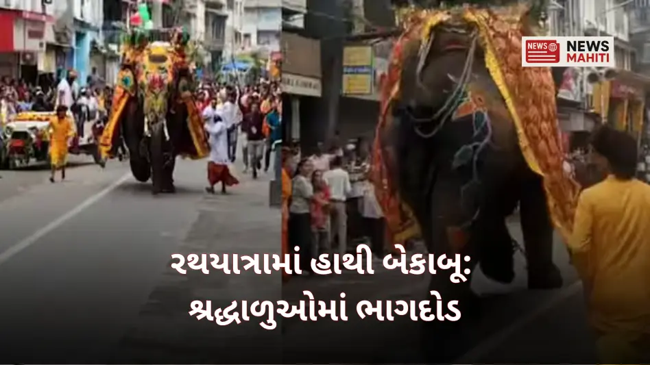 Elephant goes wild during Rath Yatra