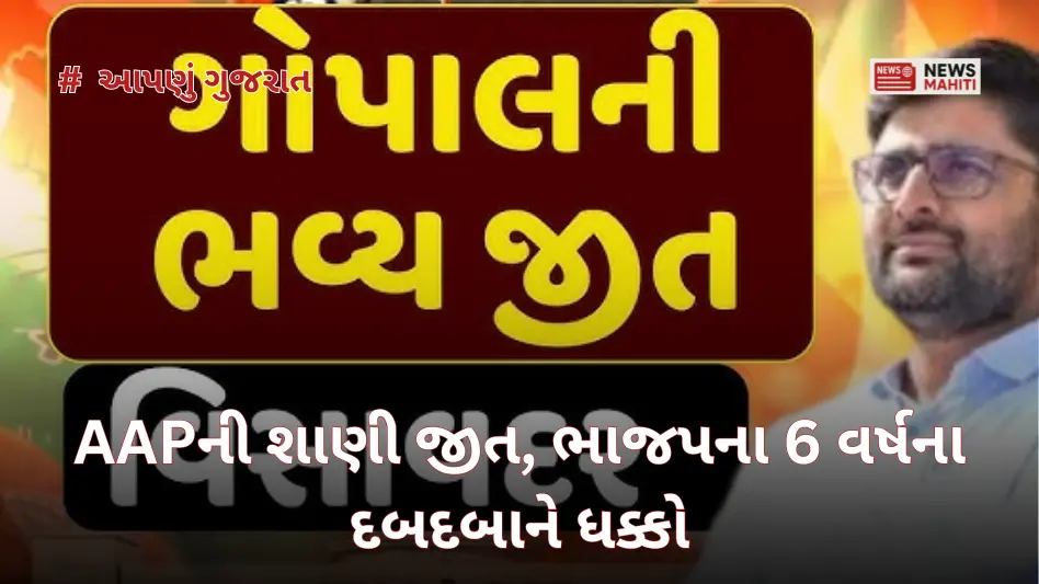 Visavadar by-election