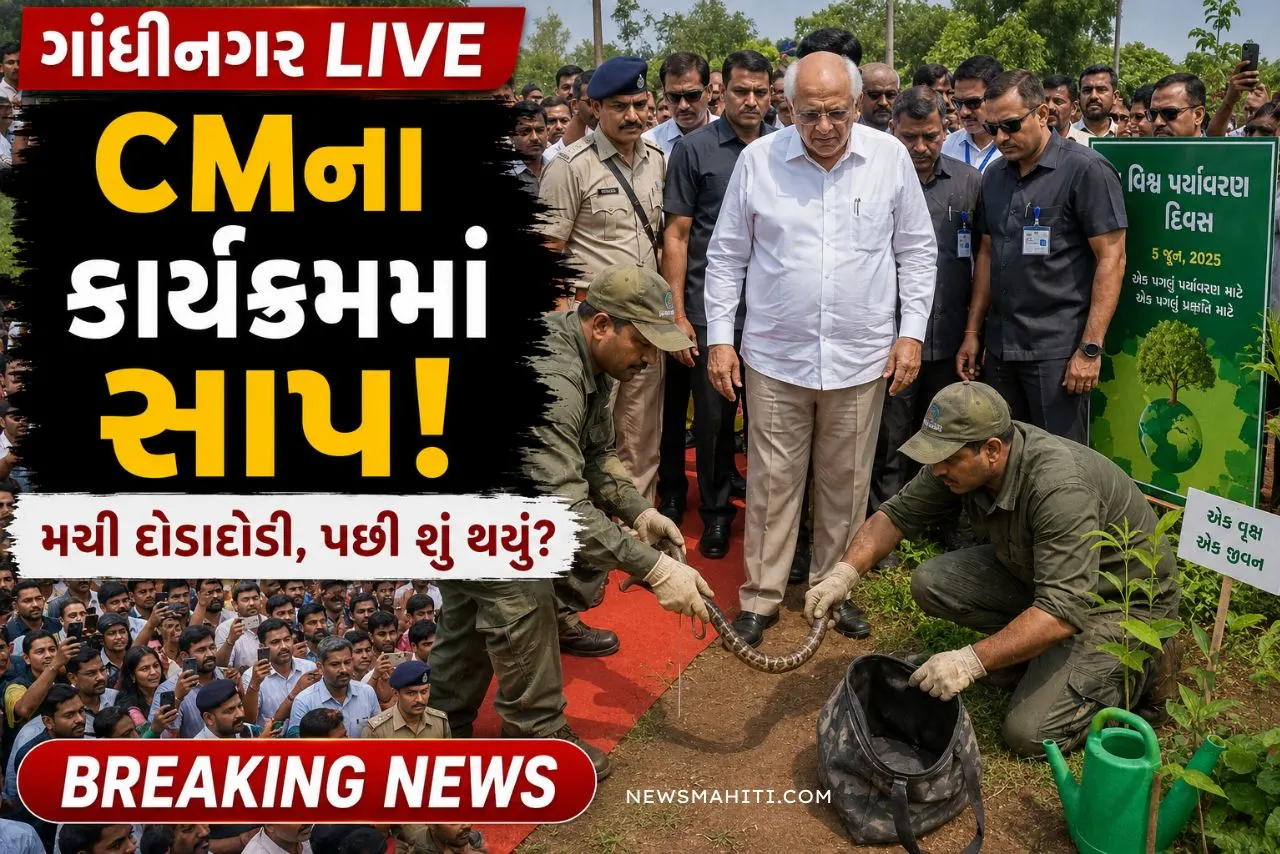 Gandhinagar Snake News